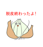 需要の高い野菜達（個別スタンプ：21）