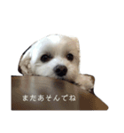 うちの可愛子チャン2（個別スタンプ：14）