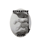 もにゃ王2020ニャン（個別スタンプ：40）