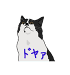ぐんにょりにゃんこ3（個別スタンプ：1）