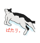 ぐんにょりにゃんこ3（個別スタンプ：29）