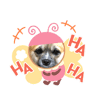 momo Chyan（個別スタンプ：4）