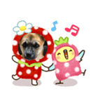 momo Chyan（個別スタンプ：5）