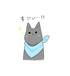 猫助兄弟（個別スタンプ：4）