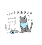 猫助兄弟（個別スタンプ：10）