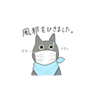 猫助兄弟（個別スタンプ：18）