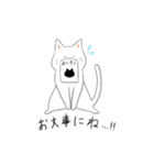 猫助兄弟（個別スタンプ：19）