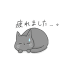 猫助兄弟（個別スタンプ：20）