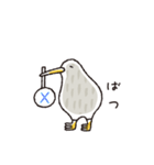キーウィ（個別スタンプ：8）