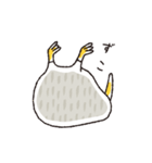 キーウィ（個別スタンプ：9）