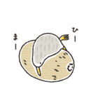 キーウィ（個別スタンプ：37）