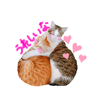 そらとみかん4（個別スタンプ：2）