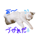 そらとみかん4（個別スタンプ：5）
