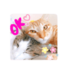そらとみかん4（個別スタンプ：12）