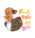 そらとみかん4（個別スタンプ：13）