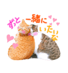 そらとみかん4（個別スタンプ：14）