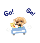 ぷーちゃんねる（個別スタンプ：5）