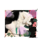 猫の1日、猫三昧（個別スタンプ：7）