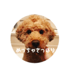 トイの日常編スタンプ（個別スタンプ：8）