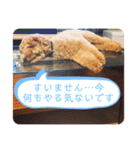トイの日常編スタンプ（個別スタンプ：14）
