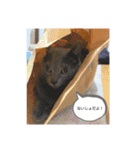 ちびとみに（個別スタンプ：25）