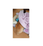 岩瀬 レオン（個別スタンプ：6）