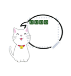 白猫のシロのメッセージスタンプ（個別スタンプ：2）
