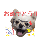 しろくん2（個別スタンプ：5）