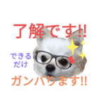 しろくん2（個別スタンプ：7）