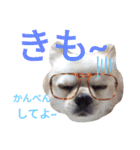 しろくん2（個別スタンプ：10）