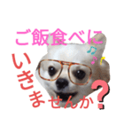 しろくん2（個別スタンプ：18）