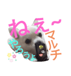 しろくん2（個別スタンプ：27）