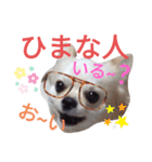 しろくん2（個別スタンプ：29）