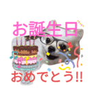 しろくん2（個別スタンプ：35）