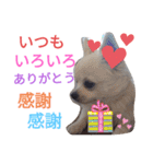 しろくん2（個別スタンプ：39）