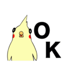 チャップとギョップ（個別スタンプ：5）