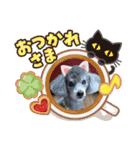 ルル＆そら（個別スタンプ：1）