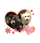 ルル＆そら（個別スタンプ：3）