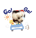 ルル＆そら（個別スタンプ：5）