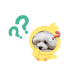 ルル＆そら（個別スタンプ：7）