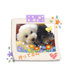 ルル＆そら（個別スタンプ：12）