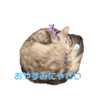ソアラとロアpt.2（個別スタンプ：5）