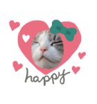 うちのここねこ（個別スタンプ：6）