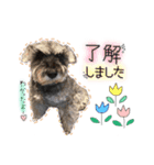 枝光さんちのモモ（個別スタンプ：11）