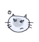 カレンダー裏のにゃんこ（個別スタンプ：7）