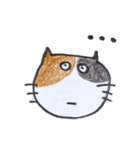 カレンダー裏のにゃんこ（個別スタンプ：11）