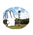 うさちゃんすきだよ（個別スタンプ：32）