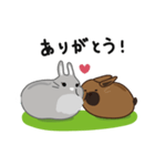 しあわせうさぎ ピータン＆ハッチー（個別スタンプ：3）