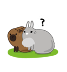 しあわせうさぎ ピータン＆ハッチー（個別スタンプ：5）