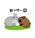 しあわせうさぎ ピータン＆ハッチー（個別スタンプ：7）